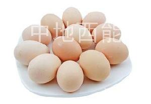 瀵岀闆炶泲